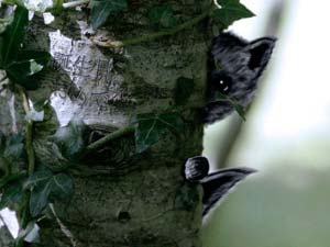 Photography_01