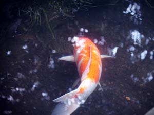 Photography_08