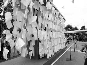 Photography_10