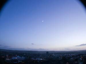 Photography_31