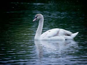 Photography_33
