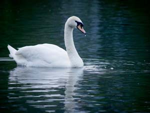 Photography_35