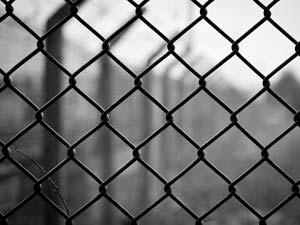 Photography_36