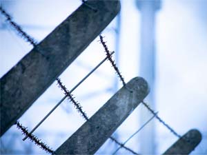 Photography_37