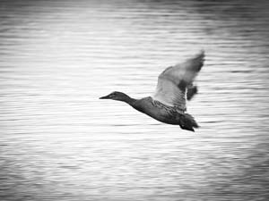 Photography_38