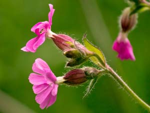 Photography_40