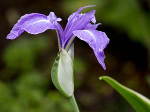 Photography_41