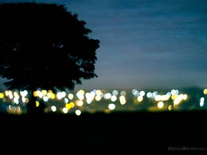 Photography_45