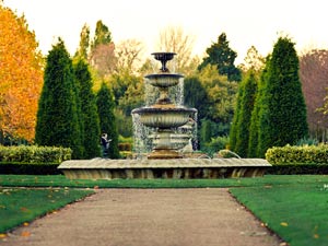 Photography_72