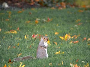 Photography_77