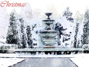 Photography_81